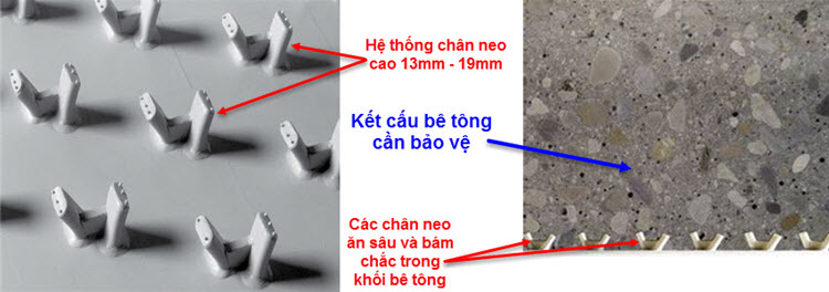 Agru_Concrete_Protection_Liner_3.jpg